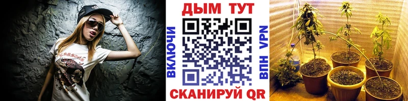 Каннабис конопля  Купить  Вяземский 